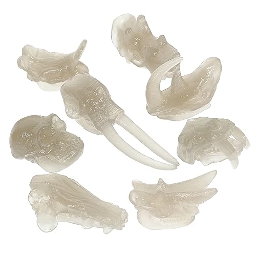 Milisten 1Satz Leuchtendes Dinosaurier Schädelmodell Fossilien Knochenspielzeug Für Realistische Nachbildung Kinderspielzeug Für Kreatives Lernen von Milisten