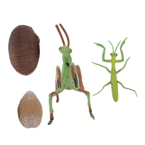 Milisten 1Satz Mantis Modell Pädagogisches Tiermodell für Insektenfiguren Lebenszyklus Kreatives Lernspielzeug Farberkennung und Hand Augen Koordination Sortierte Milisten 1Satz Mantis Modell Pädagogisches Tiermodell für Insektenfiguren Lebenszyklus Kreatives Lernspielzeug Farberkennung und Hand Augen Koordination Sortierte von Milisten