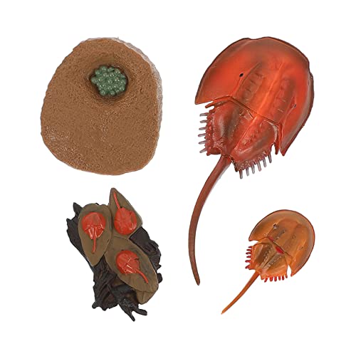 Milisten 1Satz Tier Umweltfreundliche Mini Seetier Figuren für Home Dekoration und Lehrmittel Korrosionsbeständig für Aquarium Dekoration Milisten 1Satz Tier Umweltfreundliche Mini Seetier Figuren für Home Dekoration und Lehrmittel Korrosionsbeständig für Aquarium Dekoration von Milisten