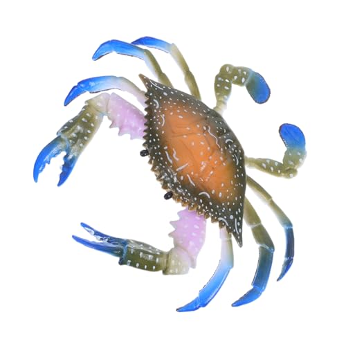 Milisten 1Stück Simulation Krabbenmodell aus Kunststoff Kreatives Kinderspielzeug Meeresbiologie für Zuhause und zur Kindergeburtstagsfeier Milisten 1Stück Simulation Krabbenmodell aus Kunststoff Kreatives Kinderspielzeug Meeresbiologie für Zuhause und zur Kindergeburtstagsfeier von Milisten