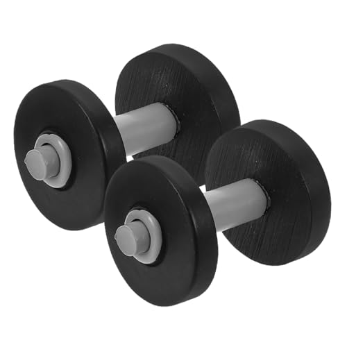 Milisten 2stücke Miniatur Hanteln Für Landschaften Mini Dumbbell Für Fitness Dekoration Für Kreative Projekte Und Miniatursammlungen von Milisten