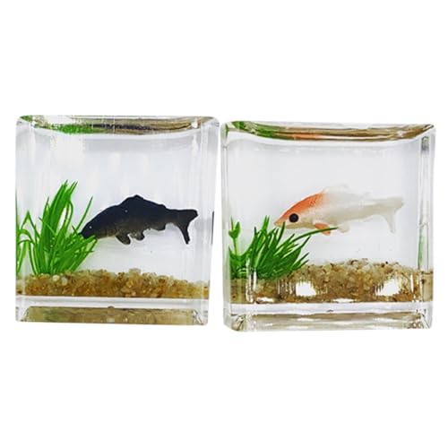 Milisten 2 Stück Miniatur Koi Fisch Aquarium Lebensechte Miniatur Fischbecken für Puppenhaus Realistische Deko DIY Bastelset Tischdekoration Zufällige Farbe Zufällige Farbe Milisten 2 Stück Miniatur Koi Fisch Aquarium Lebensechte Miniatur Fischbecken für Puppenhaus Realistische Deko DIY Bastelset Tischdekoration Zufällige Farbe Zufällige Farbe von Milisten