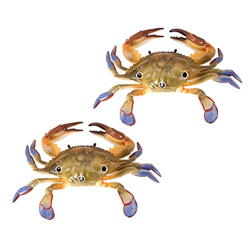 Milisten 2 Stück Realistische Künstliche Modelle für Pädagogisches Kognitiven Fähigkeiten für Aquarien Milisten 2 Stück Realistische Künstliche Modelle für Pädagogisches Kognitiven Fähigkeiten für Aquarien von Milisten