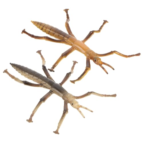 Milisten 2 Stück Simulations Insektenmodell Pädagogisches Insekten für Insekten Erkennung und Biologischen für Dekoration und Lernspiele von Milisten