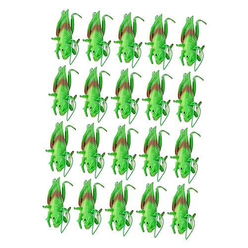 Milisten 20 Stück Teiliges Set Grüner Imitationsgrashüpfer Spielzeugmodell für Kognitives Lernspielzeug Kreativität und Denkfähigkeit Milisten 20 Stück Teiliges Set Grüner Imitationsgrashüpfer Spielzeugmodell für Kognitives Lernspielzeug Kreativität und Denkfähigkeit von Milisten