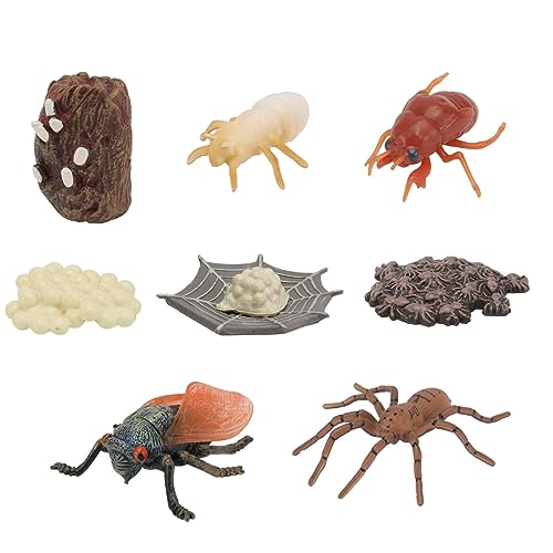 Milisten 2Sätze Wachstumsmodelle von Insekten für Spinnen und Zikaden Lebenszyklus Pädagogisches Naturwissenschaften und Neugierde für Lernspiele Milisten 2Sätze Wachstumsmodelle von Insekten für Spinnen und Zikaden Lebenszyklus Pädagogisches Naturwissenschaften und Neugierde für Lernspiele von Milisten