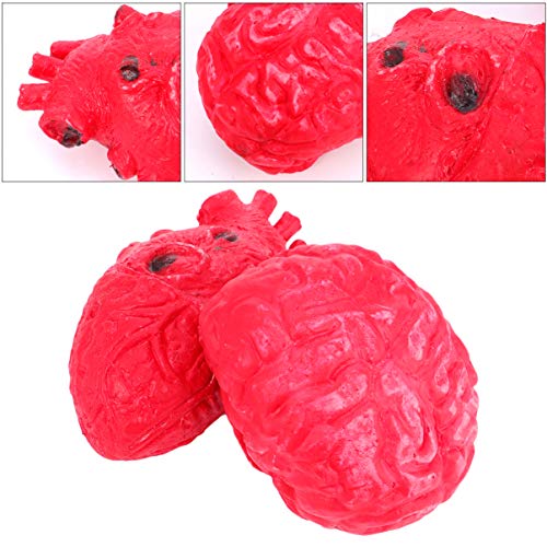 Milisten 2Stücke Körperteile Modell Herz Gehirn Realistische Halloween Dekoration Für Partys Gruselige Anlässe Latexmaterial Leicht Zu Reinigen Für Innen Milisten 2Stücke Körperteile Modell Herz Gehirn Realistische Halloween Dekoration Für Partys Gruselige Anlässe Latexmaterial Leicht Zu Reinigen Für Innen von Milisten