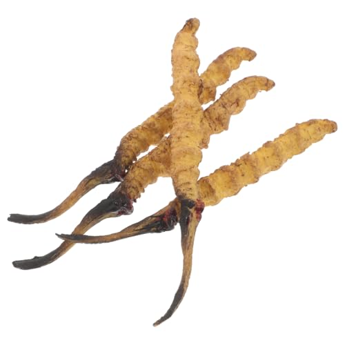 Milisten 4 Stück Cordyceps -Modell Arztzubehör Modell der chinesischen Medizin Arzt Rollenspiel Requisiten Arztkoffer medizinische Spielzeugartikel Plastik Milisten 4 Stück Cordyceps -Modell Arztzubehör Modell der chinesischen Medizin Arzt Rollenspiel Requisiten Arztkoffer medizinische Spielzeugartikel Plastik von Milisten