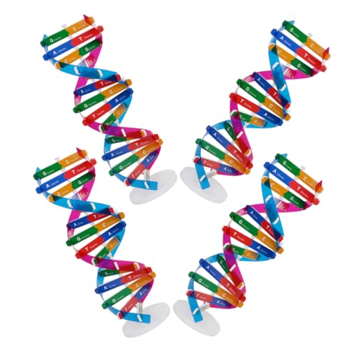 Milisten 4stücke DNA-modellbausatz Für Schüler Doppelhelix-strukturmodell Biologisches Lernspielzeug Zur Molekularen Biologie DIY-Montage Mit Ausstellungsständer Lehrmittel Zur von Milisten