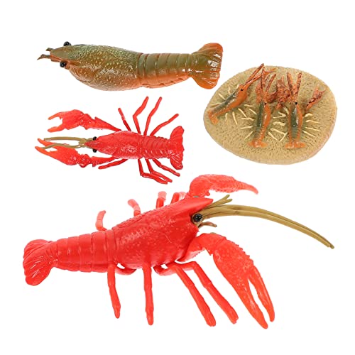 Milisten 4 Stück Teiliges von Hummer Wachstumszyklus Modellen Realistische Tierfiguren für Lernspielzeug und Dekoration für Unterricht und Freizeitgestaltung von Milisten