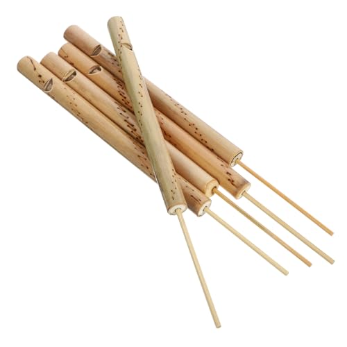 Milisten 5 Stück Musikspielzeug Für Pfeife Pädagogische Vogelpfeife Pfeifen Mini-Musik-vogelflöte Musik Vogel Flöte Lerche Pfeifen Bambus Milisten 5 Stück Musikspielzeug Für Pfeife Pädagogische Vogelpfeife Pfeifen Mini-Musik-vogelflöte Musik Vogel Flöte Lerche Pfeifen Bambus von Milisten