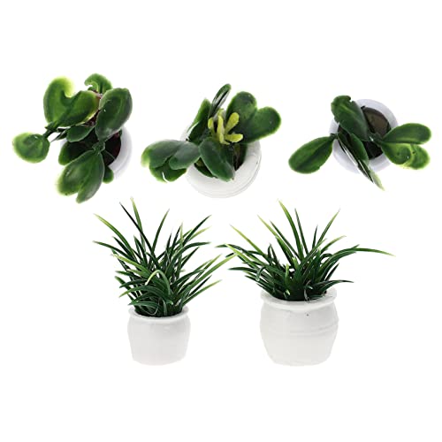 Milisten 5 Stück Puppenhaus Topfpflanze Miniatur Moos Miniaturen Mini-topfpflanze Blumenmodell Feenfiguren Mini -Topf -Miniatur Puppenhausgrün Blumendekor Pflanzen-Bonsai-dekore Plastik Milisten 5 Stück Puppenhaus Topfpflanze Miniatur Moos Miniaturen Mini-topfpflanze Blumenmodell Feenfiguren Mini -Topf -Miniatur Puppenhausgrün Blumendekor Pflanzen-Bonsai-dekore Plastik von Milisten