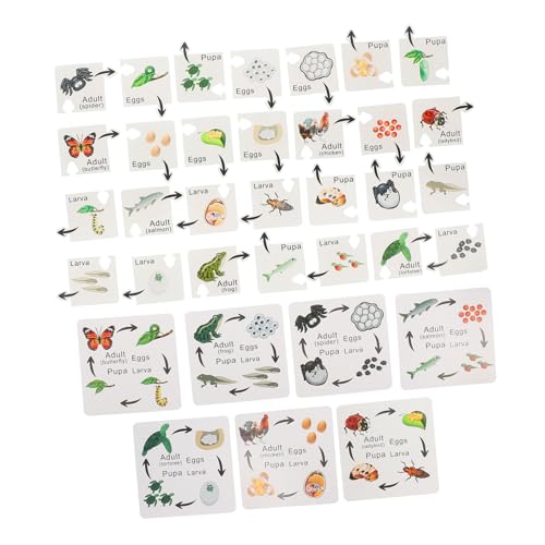 Milisten 7 Sätze Kognitive Insektenspielzeuge Bildungsspielzeug Puzzle- puzzlekleber Puzzlematte Lebenszyklus-Lernspielzeug für Holzpuzzle Tierlebenszyklus Milisten 7 Sätze Kognitive Insektenspielzeuge Bildungsspielzeug Puzzle- puzzlekleber Puzzlematte Lebenszyklus-Lernspielzeug für Holzpuzzle Tierlebenszyklus von Milisten