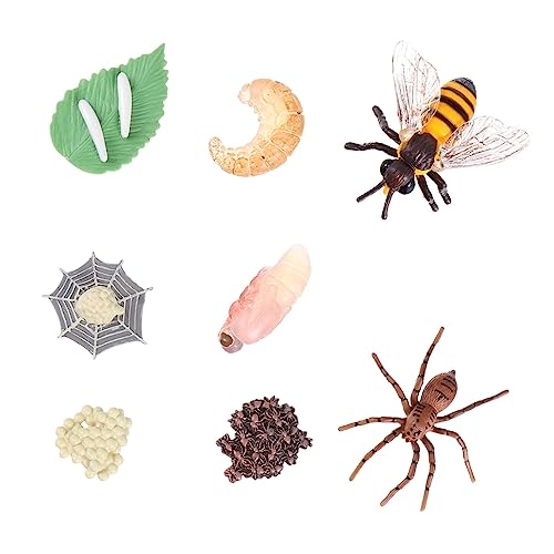 Milisten 8 Stück Teiliges Wachstumsmodell Spielzeugset Kreative Insekten Evolution Modelle Biene Spinne für Sicher Lehrreich zur Simulation des Lebenszyklus von Tieren von Milisten