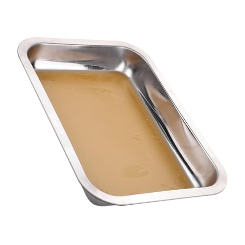 Milisten Anatomische Scheibe Aus Edelstahl Präparierplatte Für Studenten Zahntablett Kleines Metalltablett Metalltabletts Zahnmetalltablett Mittlere Edelstahltabletts Silber Milisten Anatomische Scheibe Aus Edelstahl Präparierplatte Für Studenten Zahntablett Kleines Metalltablett Metalltabletts Zahnmetalltablett Mittlere Edelstahltabletts Silber von Milisten
