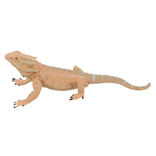 Milisten Bärtiges Echsenmodell aus Kunststoff Realistische Simulation Reptilienspielzeug für Lernspiele und Garten Dekoration Langlebig und Farbecht Milisten Bärtiges Echsenmodell aus Kunststoff Realistische Simulation Reptilienspielzeug für Lernspiele und Garten Dekoration Langlebig und Farbecht von Milisten