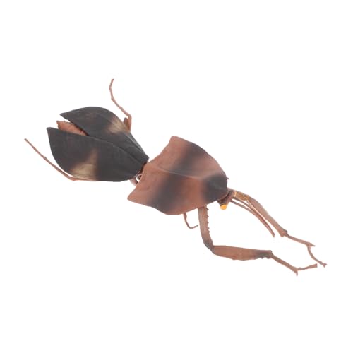 Milisten Dead Leaf Mantis Spielzeugmodell Bildungsinsekten Figur Realistische Mantis Skulptur Beten Mantis Ornament Für Hausgartendekor Wissenschaft Lernspielzeug Milisten Dead Leaf Mantis Spielzeugmodell Bildungsinsekten Figur Realistische Mantis Skulptur Beten Mantis Ornament Für Hausgartendekor Wissenschaft Lernspielzeug von Milisten