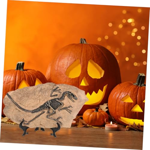 Milisten Dinosaurier Fossil Modell Realistische Nachbildung mit Glatter Oberfläche Pädagogisches für Geeignet als Partygeschenk Sammlerstück und Dekoration für Zuhause oder Büro von Milisten
