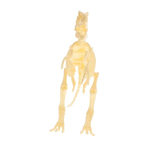 Milisten Dinosaurier Skelett Modellbausatz für Kreativität und Praktischen Fähigkeiten für Zuhause Schule und Unterwegs Milisten Dinosaurier Skelett Modellbausatz für Kreativität und Praktischen Fähigkeiten für Zuhause Schule und Unterwegs von Milisten