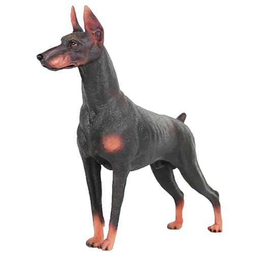 Milisten Dobermann Hundestatue Realistisches Tiermodell für Simuliertes Kreativem Spiel als Dekoration und Lehrmittel von Milisten