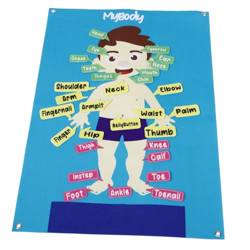 Milisten Großes Filz Menschlicher Körper Lernboard für Weiches Sicheres Activity Board Vorschule Interaktives Storytelling zur Kognitiven Entwicklung und Eltern Junge Mädchen interaktion Milisten Großes Filz Menschlicher Körper Lernboard für Weiches Sicheres Activity Board Vorschule Interaktives Storytelling zur Kognitiven Entwicklung und Eltern Junge Mädchen interaktion von Milisten
