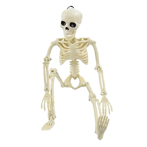 Milisten Halloween Skelettspielzeugmodell Emuliertes Skelett Für Partys Dekoratives Ornament Mit Beweglichen Gelenken Halloween Deko Für Gruselige Atmosphären Stil von Milisten