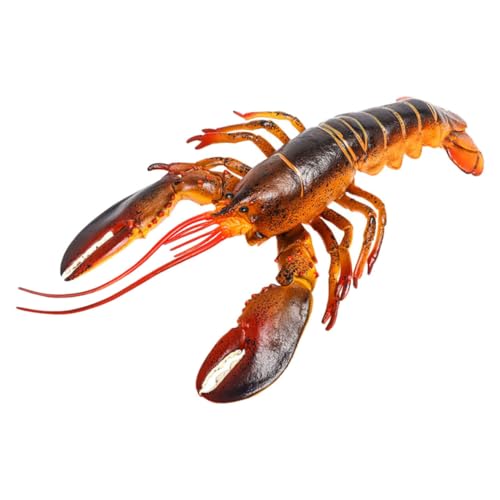 Milisten Hummer-Modell hühner Educational Toys Pädagogisches Tiermodell Seegelle Hummerfiguren Simulation von Tierfiguren realistische Hummermodelle Plastik Milisten Hummer-Modell hühner Educational Toys Pädagogisches Tiermodell Seegelle Hummerfiguren Simulation von Tierfiguren realistische Hummermodelle Plastik von Milisten