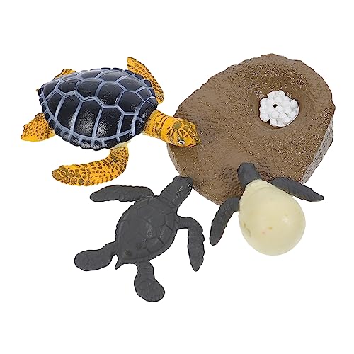 Milisten Kognitive Schildkröten Modelle Lebenszyklus Simulation für Pädagogisches zur des Naturverständnisses und Biologischer Erkenntnisse Milisten Kognitive Schildkröten Modelle Lebenszyklus Simulation für Pädagogisches zur des Naturverständnisses und Biologischer Erkenntnisse von Milisten