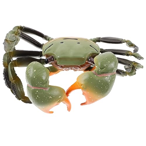 Milisten Krabbenmodell Realistisches Krabbenspielzeug aus Kunststoff Dekoration für Aquarium und Fischtank Pädagogisches für Lustiges Strandspielzeug und Sammelobjekt Milisten Krabbenmodell Realistisches Krabbenspielzeug aus Kunststoff Dekoration für Aquarium und Fischtank Pädagogisches für Lustiges Strandspielzeug und Sammelobjekt von Milisten