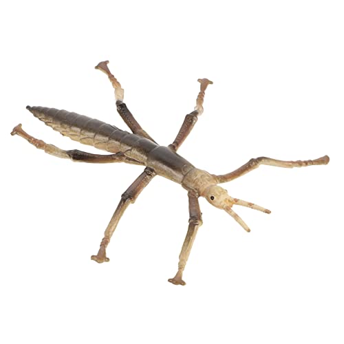 Milisten Kreatives Insektenmodell Aus Hochwertigem Kunststoff Realistische Gestaltung Für Lernspielzeug Tierbewusstsein von Milisten