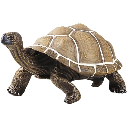 Milisten Kreatives Schildkrötenmodell aus Dekorative Tortoise Figur für Garten und Innendekoration Lebensechte Details und Farben Perfektes für Milisten Kreatives Schildkrötenmodell aus Dekorative Tortoise Figur für Garten und Innendekoration Lebensechte Details und Farben Perfektes für von Milisten