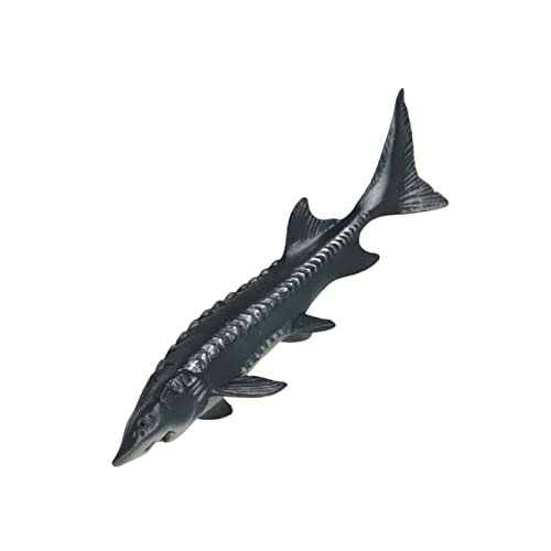 Milisten Kunststoff Fischmodell Realistisches Simulationsfischmodell Für Kognitive Spielzeuge Tier Modell Pädagogisches Für Jungen Und Fischfigur von Milisten