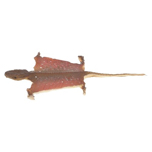 Milisten Leichte Detailreiche Gecko-Figur aus Kunststoff Realistische Reptilien-deko für Halloween Vielseitiges Modell für Garten Innenräume und Scherzartikel für Party und Display Milisten Leichte Detailreiche Gecko-Figur aus Kunststoff Realistische Reptilien-deko für Halloween Vielseitiges Modell für Garten Innenräume und Scherzartikel für Party und Display von Milisten