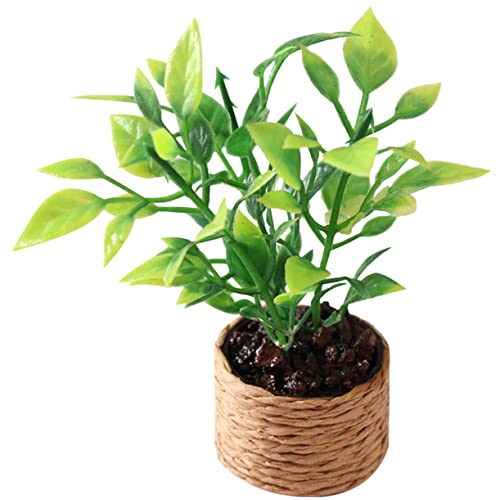 Milisten Mini-orangenbaum Winzig Kind Kleine Topfpflanze Miniatur-blumentopf- Kleiner Blumentopf Miniatur-Bonsai-Modell Miniatur Blumentopfmodell Miniatur -topfpflanze Plastik von Milisten