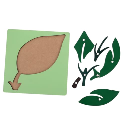 Milisten Montessori Lehrmittel Montessori -Lernmaterialien Montessori-inspiriertes Montessori- für Kleinkinder Vorschullernspielzeug Montessori-Lernspielzeug hölzern Grün Milisten Montessori Lehrmittel Montessori -Lernmaterialien Montessori-inspiriertes Montessori- für Kleinkinder Vorschullernspielzeug Montessori-Lernspielzeug hölzern Grün von Milisten