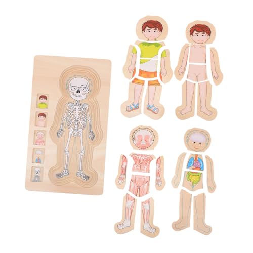 Milisten Multilayer Körperstruktur Lernspielzeug für Jungen Mädchen Cartoon Puzzle Educational Toy Vorstellungskraft und Hand Auge koordination von Milisten