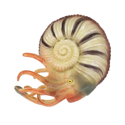 Milisten Nautilus Modell Figur Realistisches Meerestier für Pädagogisches Tiermodell Kreativität und Umweltbewusstsein für Aquarium Dekoration Milisten Nautilus Modell Figur Realistisches Meerestier für Pädagogisches Tiermodell Kreativität und Umweltbewusstsein für Aquarium Dekoration von Milisten
