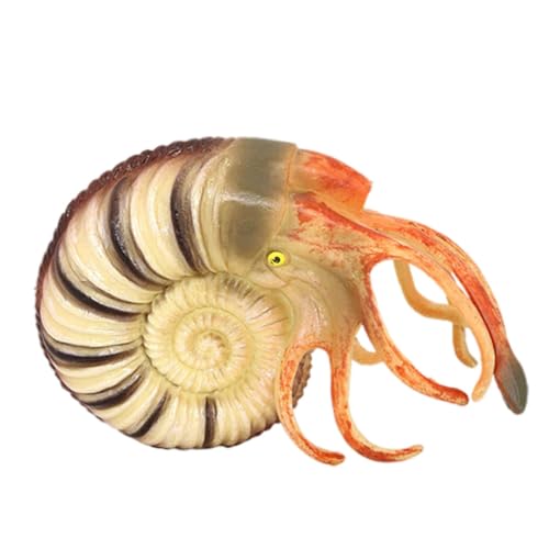 Milisten Nautilus Modell Simuliertes Tiermodell für Detailgetreu Langlebig Bildungszwecke und Umweltbewusstsein Kognitiven Fähigkeiten Milisten Nautilus Modell Simuliertes Tiermodell für Detailgetreu Langlebig Bildungszwecke und Umweltbewusstsein Kognitiven Fähigkeiten von Milisten