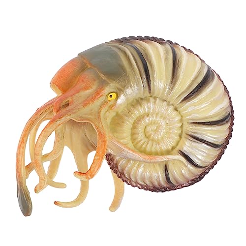 Milisten Nautilus Modellspielzeug Simulation Nautilus Figur aus Hochwertigem für Kinderzimmer Wohnzimmer Tischdekoration für Meeresleben Dekoration und Gemeinsames von Milisten