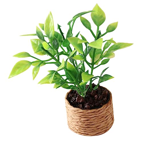 Milisten Orangenbaummodell Winzig Kind Kleiner Blumentopf Mini-blumentopf Kleiner Bonsai Miniatur -Bonsai -Modell Miniatur Bonsai Puppenhaus-Miniatur-topfblumen Topfpflanzen-Modell Plastik Milisten Orangenbaummodell Winzig Kind Kleiner Blumentopf Mini-blumentopf Kleiner Bonsai Miniatur -Bonsai -Modell Miniatur Bonsai Puppenhaus-Miniatur-topfblumen Topfpflanzen-Modell Plastik von Milisten
