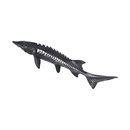 Milisten Plastikfisch Modellspielzeug für Kognitives Marine Tiermodell Leicht und Tragbar für Lernspiele und Fotos Hochwertiges Design für Langlebigen Spaß von Milisten