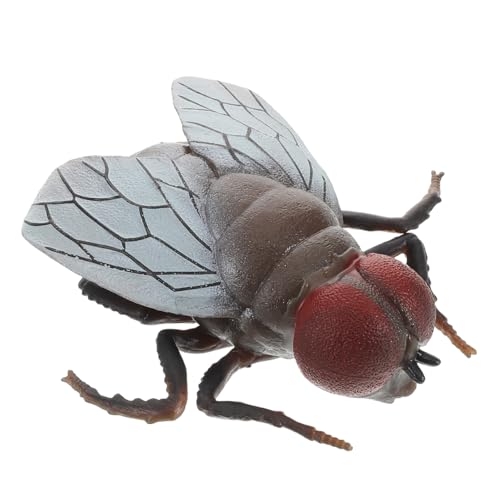 Milisten Plastikfliege Figur Big Fake Fly Insect Realistic Large Fake Fly Simuliertes Plastikfliegenmodell Ognitive Spielzeug Knifflige Fliege Für Witz -Prop -Halloween -Party Milisten Plastikfliege Figur Big Fake Fly Insect Realistic Large Fake Fly Simuliertes Plastikfliegenmodell Ognitive Spielzeug Knifflige Fliege Für Witz -Prop -Halloween -Party von Milisten
