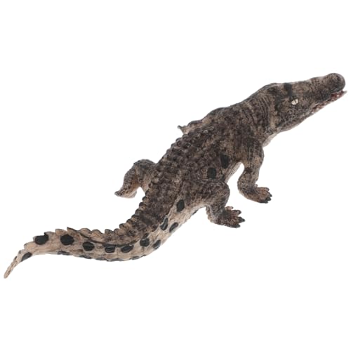 Milisten Realistische Alligator Figur für Lernspielzeug für Spiele Beweglich Fördert Hand Auge Koordination für Rollenspiele und Unterricht von Milisten