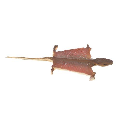 Milisten Realistische Gecko Figurine aus Kunststoff Detailgetreues Reptil Modell für Halloween Dekoration Vielseitige Indoor Garten Deko für Prank Display und Lernzwecke Milisten Realistische Gecko Figurine aus Kunststoff Detailgetreues Reptil Modell für Halloween Dekoration Vielseitige Indoor Garten Deko für Prank Display und Lernzwecke von Milisten
