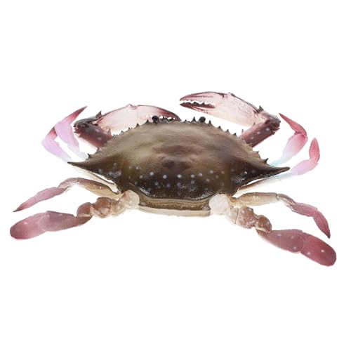 Milisten Realistische Krabbenfigur aus PVC Simuliertes Meereslebewesen Pädagogisches Lernspielzeug Dekoratives Aquarium Ornament Interaktives Rollenspiel für Freunde Milisten Realistische Krabbenfigur aus PVC Simuliertes Meereslebewesen Pädagogisches Lernspielzeug Dekoratives Aquarium Ornament Interaktives Rollenspiel für Freunde von Milisten