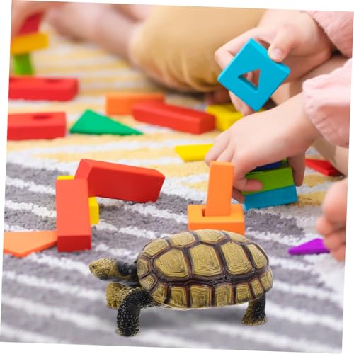 Milisten Realistisches Landschildkröten Robustem Kunststoff Kognitives Tiermodell für Detailgetreue Farbenfrohe Europäische Landschildkröte als Pädagogisches Lernspielzeug von Milisten