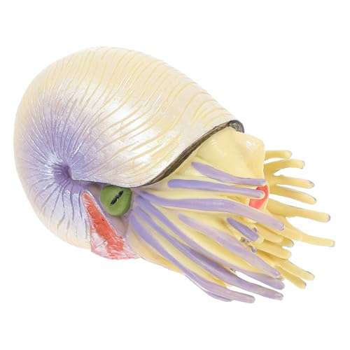 Milisten Realistisches Nautilus Modell Lernspielzeug Kreative Meeresbewohner Deko Fein Gearbeitete Simulation für Schreibtisch Wohnzimmer Spiel und Bildung Milisten Realistisches Nautilus Modell Lernspielzeug Kreative Meeresbewohner Deko Fein Gearbeitete Simulation für Schreibtisch Wohnzimmer Spiel und Bildung von Milisten