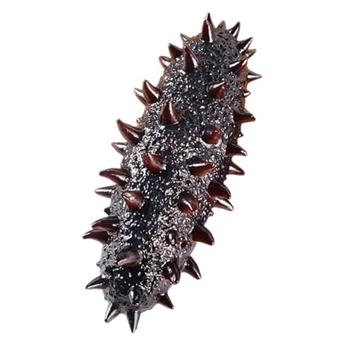 Milisten Realistisches Sea Cucumber Modell aus PVC Täuschend Echte Nachbildung Sicherer für Fotorequisit und Restaurant Dekoration Lehrreiches Biologisches Lernmodell von Milisten