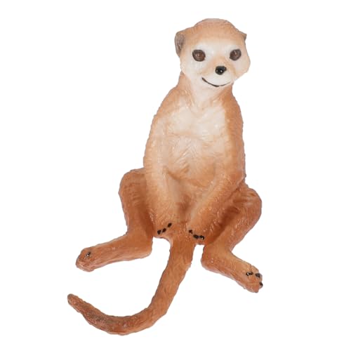Milisten Realistisches Simulation Meerkat Modell aus Kunststoff Dekofigur für Lernspielzeug Gartenverschönerung Detailgetreu Langlebig von Milisten