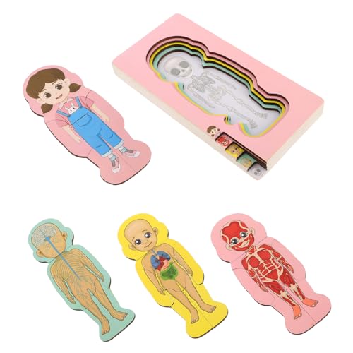 Milisten Set Menschlicher Körper Struktur Puzzle Organ Modelle Brain Teaser Puzzles Für Gehirn Puzzles Gehirn Holz Milisten Set Menschlicher Körper Struktur Puzzle Organ Modelle Brain Teaser Puzzles Für Gehirn Puzzles Gehirn Holz von Milisten